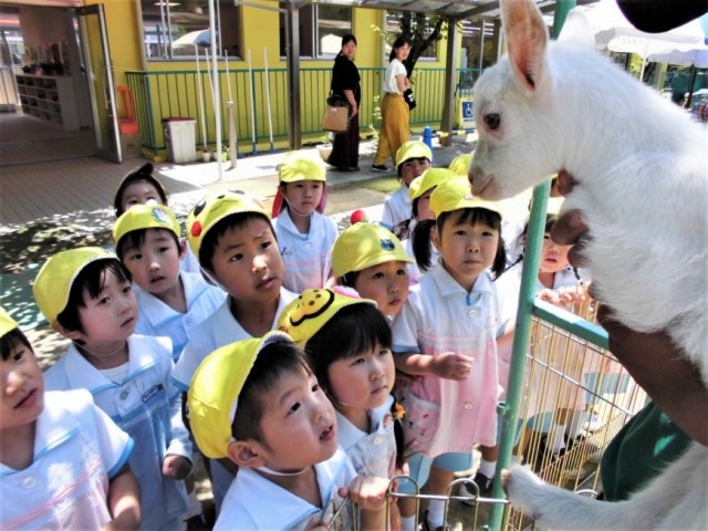 跳ねよう 元気な子どもたち 学校法人 徳風学園 早苗幼稚園 公式ホームページ