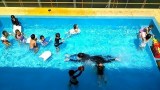 年長組の子どもたちがプールの中で思い思いの遊びを楽しんでいました！